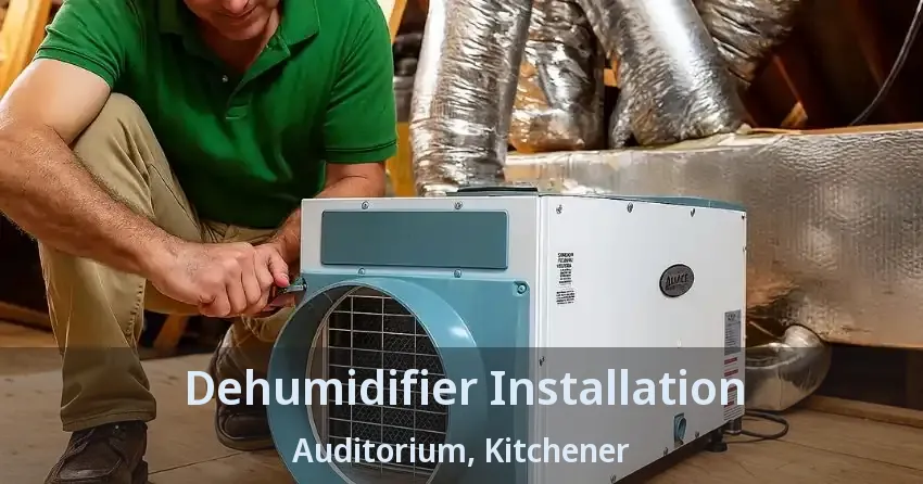 Dehumidifier Installation Auditorium, Kitchener - ON