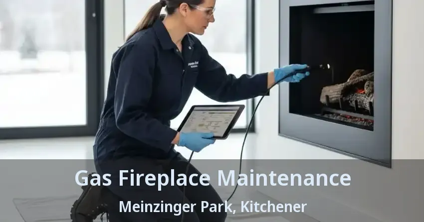 Gas Fireplace Maintenance Meinzinger Park, Kitchener - ON