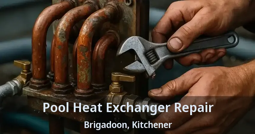 Pool Heat Exchanger Repair Brigadoon, Kitchener - ON